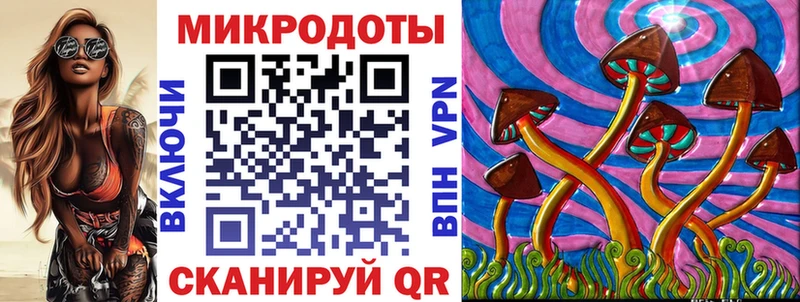 Галлюциногенные грибы Psilocybine cubensis  Яхрома 